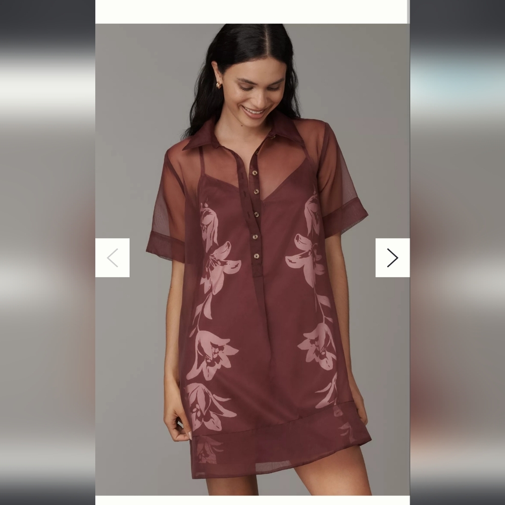 The Pollie Short-Sleeve Sheer Swing Tunic Mini Dress Anthropologie